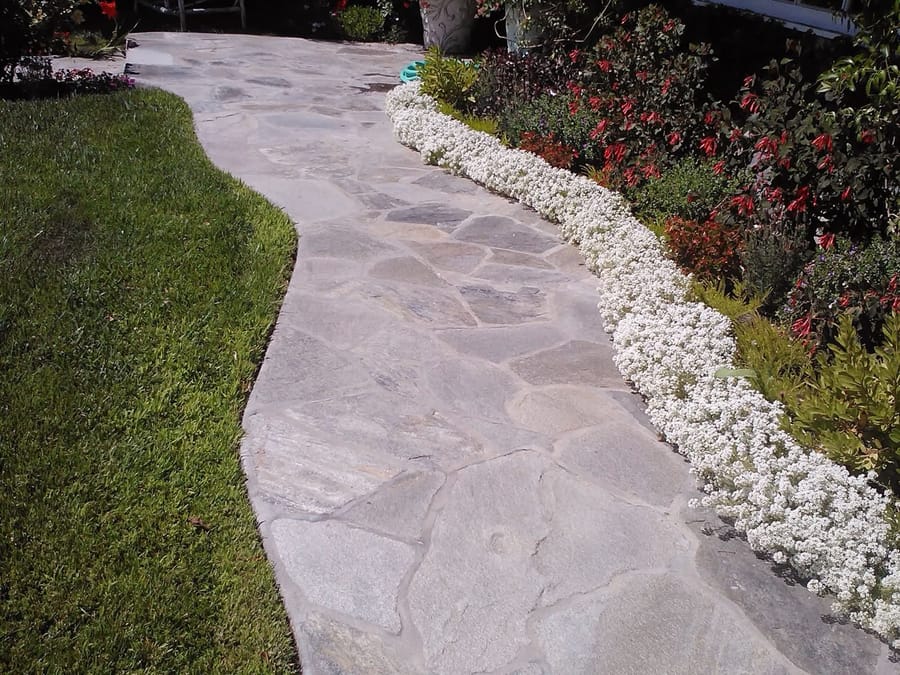 Flagstone walkway bordered with white alyssum and dark mulch.